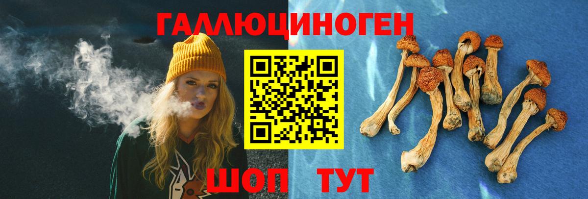 Псилоцибиновые грибы Cubensis Моршанск